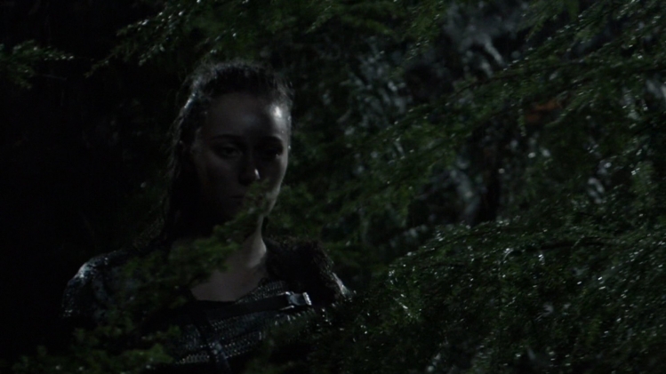 adc_tvshows_the100_213_051.jpg